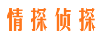 兰西市调查公司